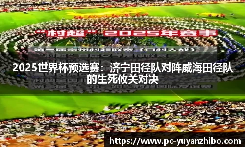 雨燕体育直播APP