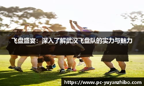 雨燕体育直播APP