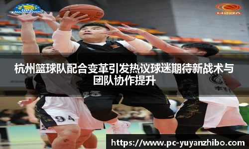 杭州篮球队配合变革引发热议球迷期待新战术与团队协作提升