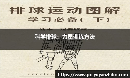 雨燕体育直播APP